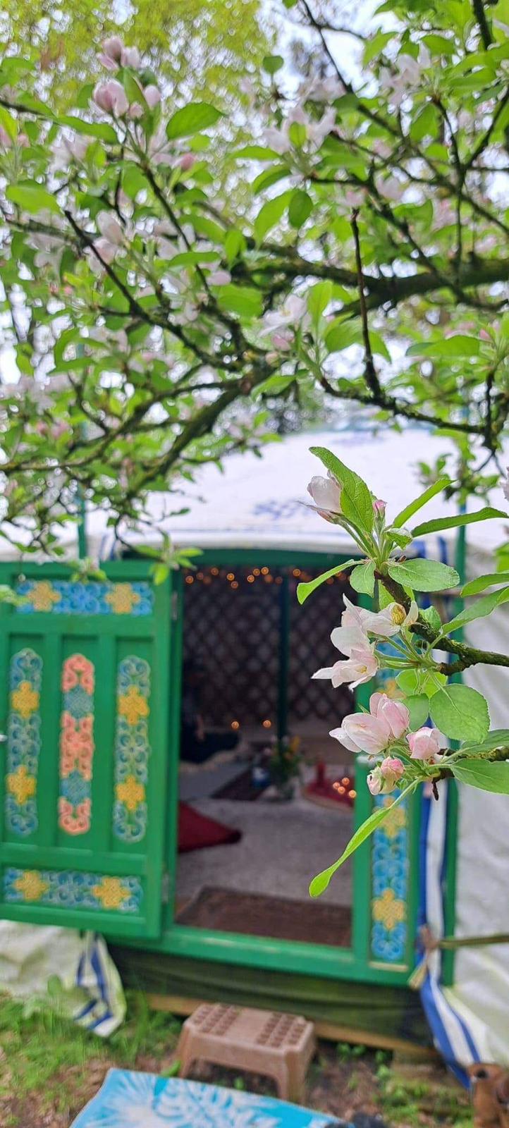 inbound4740357621429162117