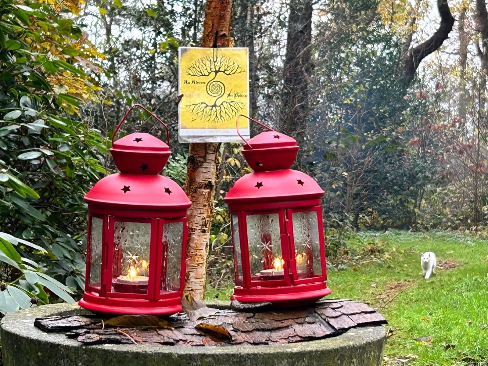 inbound5646408719321483464