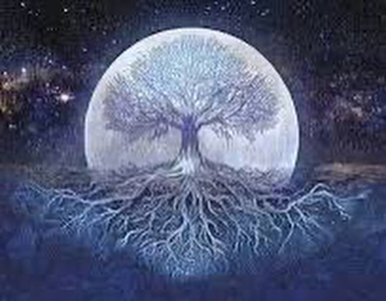 CC0C4D34 B44E 4494 8455 26FD10CD76F6 2 768x599