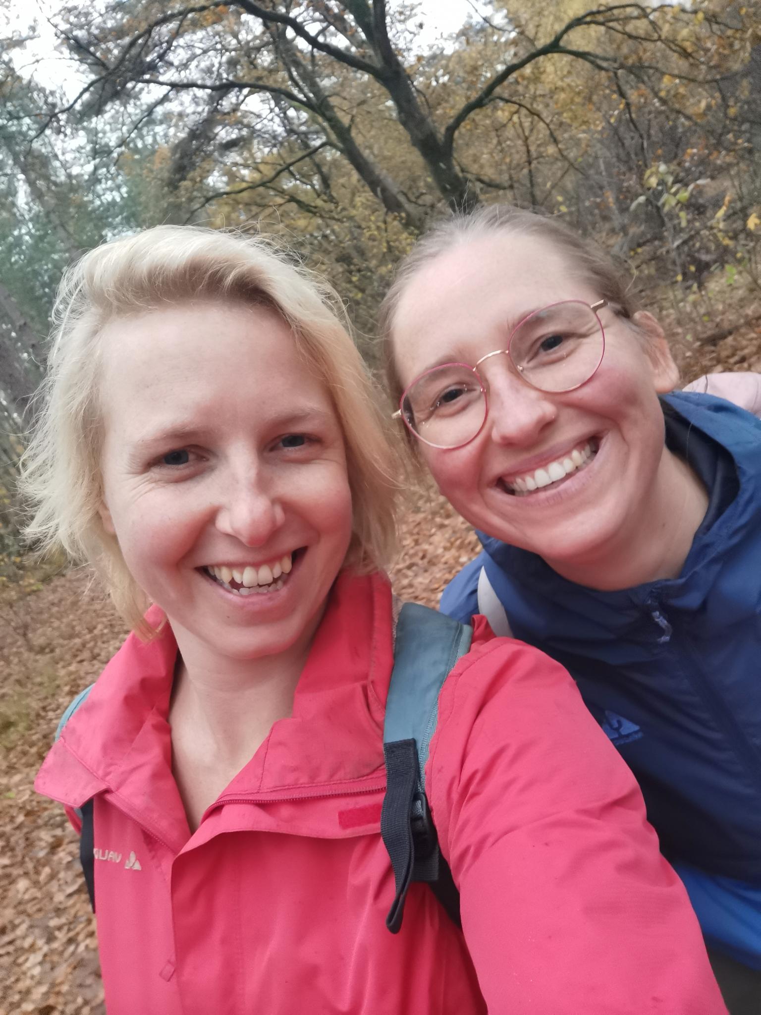 signal 2025 11 14 182432 008