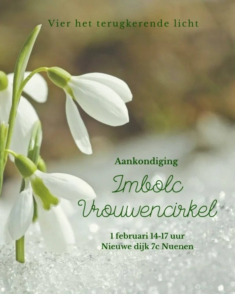 inbound2597185039914396497 768x960