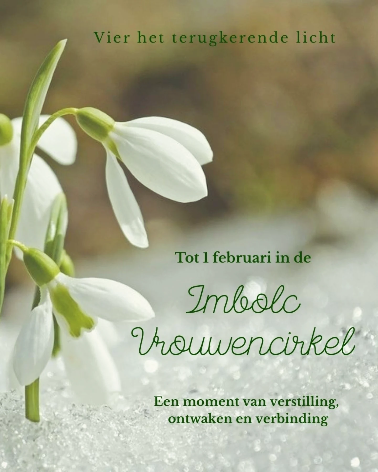 inbound8310452025215696247