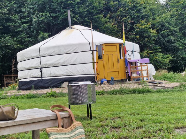 inbound5003617478933125191 768x576