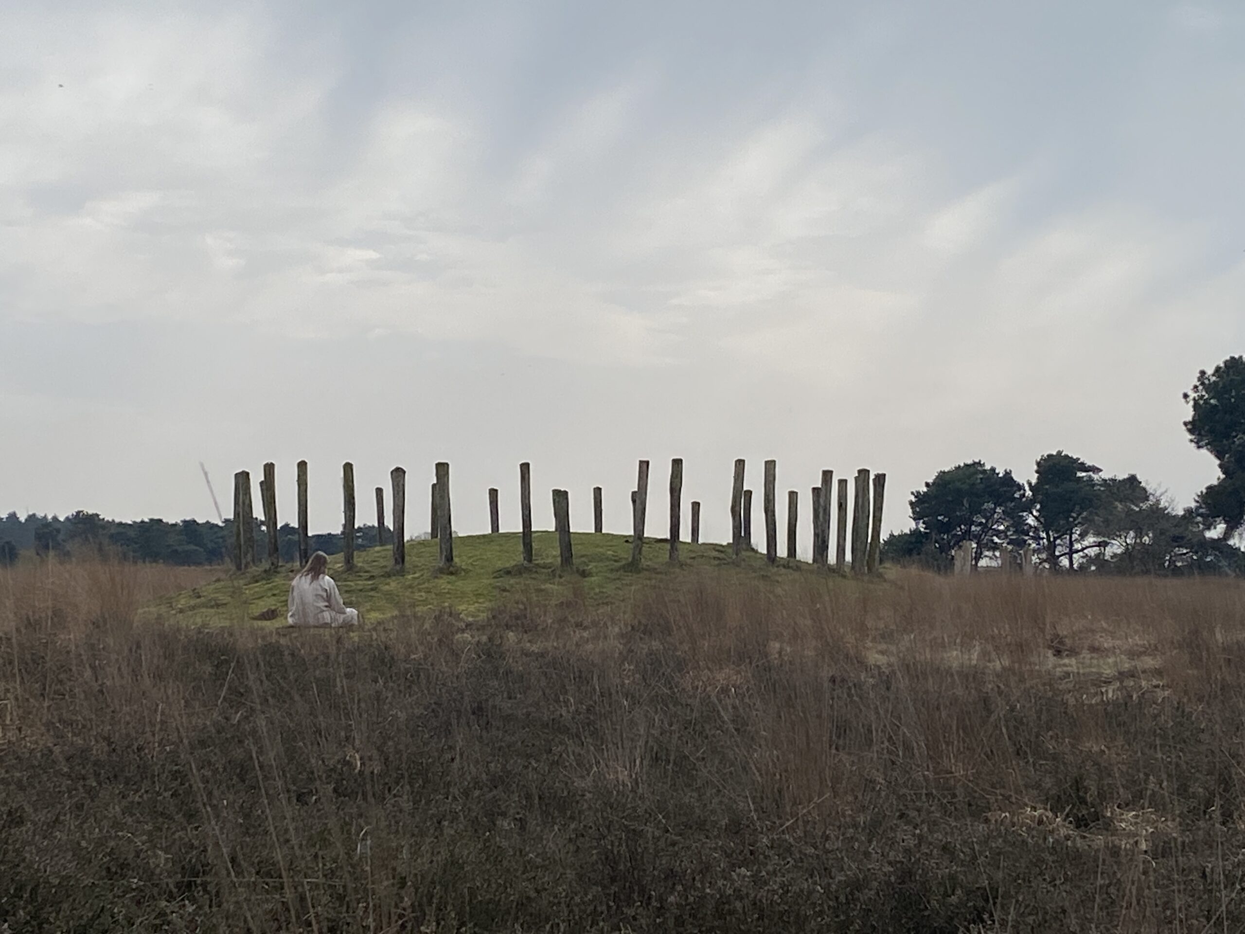 path-of-the-volva-moonmysteryschool
